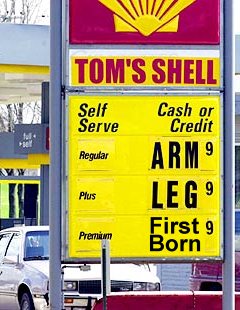 shell.jpg