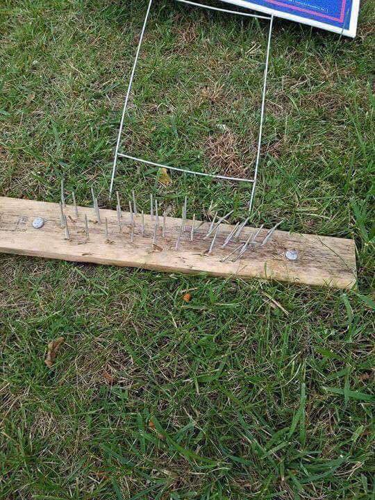 October 2016 Shot in the Dark